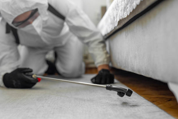 Professional Termite Control technician working in Easton, MD