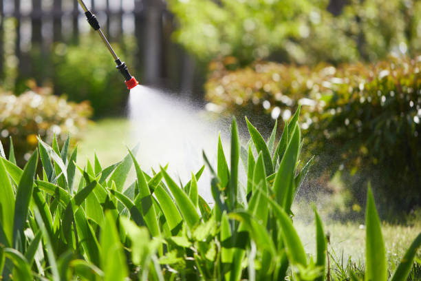 24/7 Emergency Termite Control experts in Easton, MD