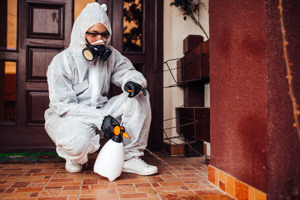 Reliable Termite Control contractor in Easton, MD by Nex Pest Control