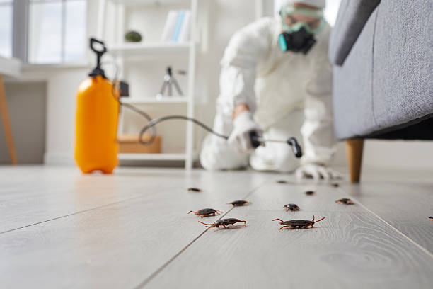 Affordable Termite Control solutions in Easton, MD
